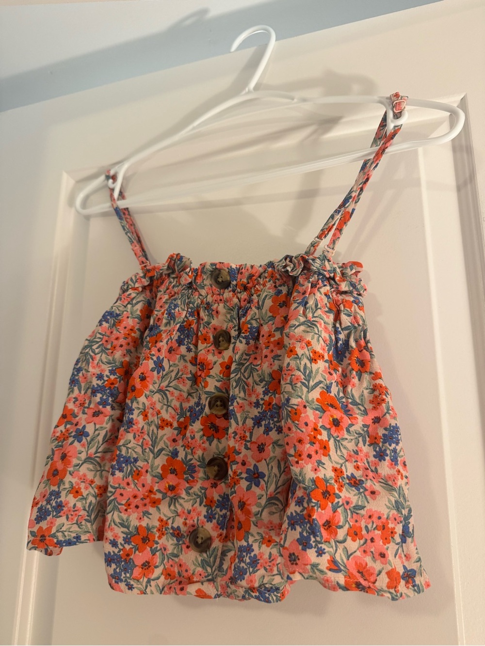 American Eagle Outfitters Coral & Blue Floral Crop Top
